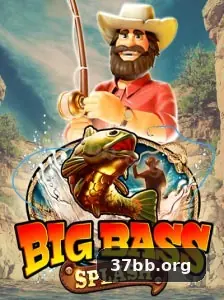 37bb
